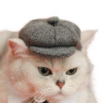Pet Cat Gentleman Beret Tie Photo Props - Image 2
