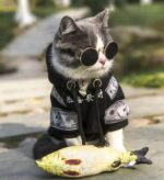 Pet Cat Dog Clothing Pure Cotton Plus Fleece Sweater - Image 2