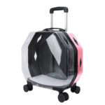 Transparent Backpack With Large Capacity And Ventilated Pet Supplies - Image 4