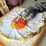 Poached egg quilt - Image 2