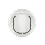 Glass door cat puppies door hole - Image 2