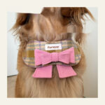 My Maillard Puppy Bow Bib - Image 2