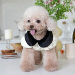 Dog Autumn And Winter Fleece-lined Warm Cotton - Image 5