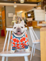 Pug Shiba Inu French Fighting Sweater Cat And Dog Winter Clothes - Image 8