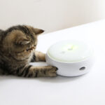 Electric feather cat ticker - Image 4