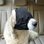 Stable Eye Mask