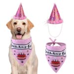 Pet birthday party hat saliva towel set - Image 2