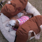 Car Mounted Kennel For Small And Medium-sized Dogs To Keep Warm In Winter - Image 5