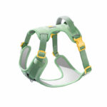 Dog Breast Strap Outing Vest Pet Hand Holding Rope - Image 3