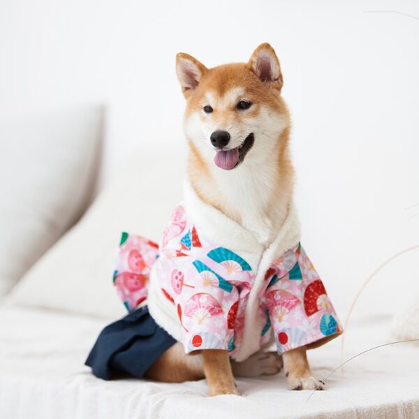 Winter dog clothes