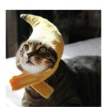 Creative design banana pet hat - Image 2