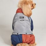 Pet Winter Color Matching Cotton-padded Clothes Dog Medium Large Dog Warm And Comfortable - Image 4