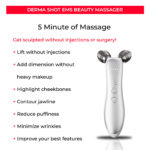 Micro-current Roller Face Slimming Massager 2-wheel Shaping Skin Tightening Beauty V Face - Image 5