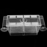 Acrylic Aquarium Fish Tank Incubation Box - Image 3