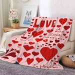 Heart Printing Blanket Warm Lunch Break - Image 3