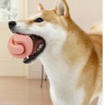 Rubber Dog Molars Teeth Relief Bouncy Ball - Image 6