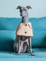 All Cotton Convenient Pet Dog Clothing Overcoat - Image 4