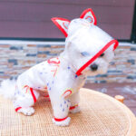 Transparent Waterproof Rainbow Dog Raincoat - Image 6