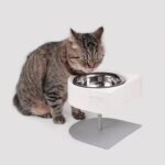 Pet cat and dog camping bowl - Image 2