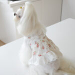 Small Town Flower Print Lace Dog Skirt - Image 4