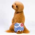 Menstruation pants - Image 4