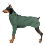 Dog Clothing With Traction Hole Reflective - Image 3