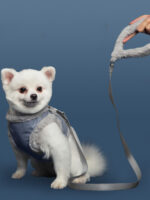 Cute rabbit fleece adjustable dog leash for small and medium-sized dogs - Image 5