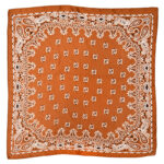 Women's Paisley 70cm Professional Scarf - Image 6