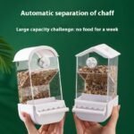 Parrot Automatic Pet Feeder Food Container