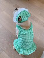 Creative Plaid Dog Dress Set - Image 4