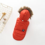 Hooded Cotton Coat Dog Clothing - Image 3