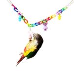 Parrot Acrylic Chain Suspension Bridge Swing Toy - Image 2