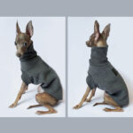 Italy's Small Lingti Whitby Bellington Clothes Rocking Fleece Dog Thickening Warm - Image 4