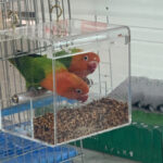 Acrylic bird feeder - Image 2