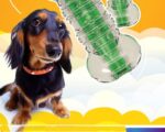 Crunchy Bone Toy - Image 3