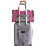 New Large Capacity Waterproof And Hard-wearing Portable Portable Pet Bag - Image 2