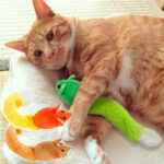 Long Tail Mouse Cat Teaster Toys Funny Pet Toys Cat Toys Mouse Trainning Funny Playing Toys Interactive Pets Products - Image 2