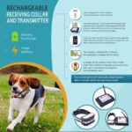 Electric Dog Fence - Image 4
