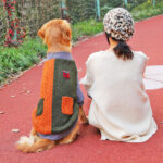 Winter warm golden retriever clothes - Image 2