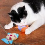 Cat Catnip Toys Small Cat Fish Toys With Crinkle Shine Ring Paper To Make Sound To Catch Your Cats Eyes And For Your Cats To Chew And Catch Interactive Cat Toys Indoor Cat - Image 10