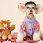 Autumn And Winter Female Dog Colorized Sweater Pet Cardigan - Image 2