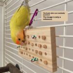 Parrot Toys Training Decompression Hanging Solid Wood Keyboard Toy - Image 4