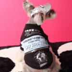 Dog Clothes Stitching Zipper Pullover Sweater - Image 4