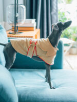 All Cotton Convenient Pet Dog Clothing Overcoat - Image 5