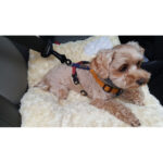 Pet Car Safety Buckle Car Accessories Holder - Image 5