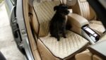 Pet Seat Thickening Pad Waterproof for Car - Image 5