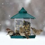 Outdoor Balcony Waterproof Hanging Bird Feeder - Image 3