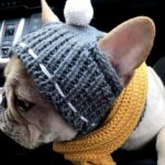 Funny woolen hat for pets to keep warm in winter - Image 4