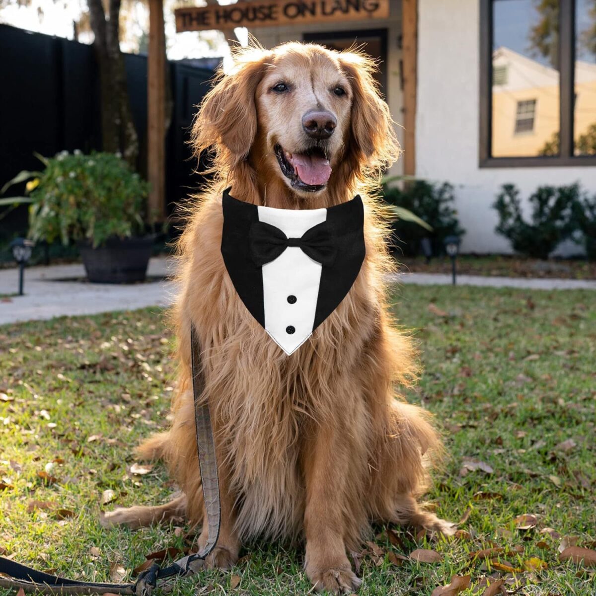 Dog Tuxedo Suit With Bow Tie And Bandana  Adjustable Formal Costumes For Small, Medium, Large Dogs Perfect For Weddings Birthdays - Image 7