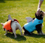 New Flying Shark Fin Life Jacket Dog Swimsuit Outdoor - Image 2